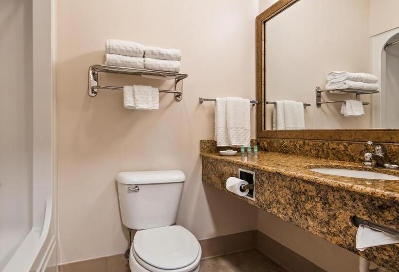 스탠다드 룸 킹사이즈 침대, Best Western Brookfield