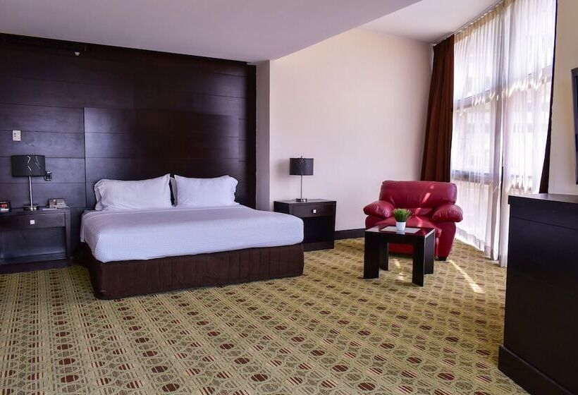 اتاق استاندارد با تخت بزرگ, Hilton Queretaro