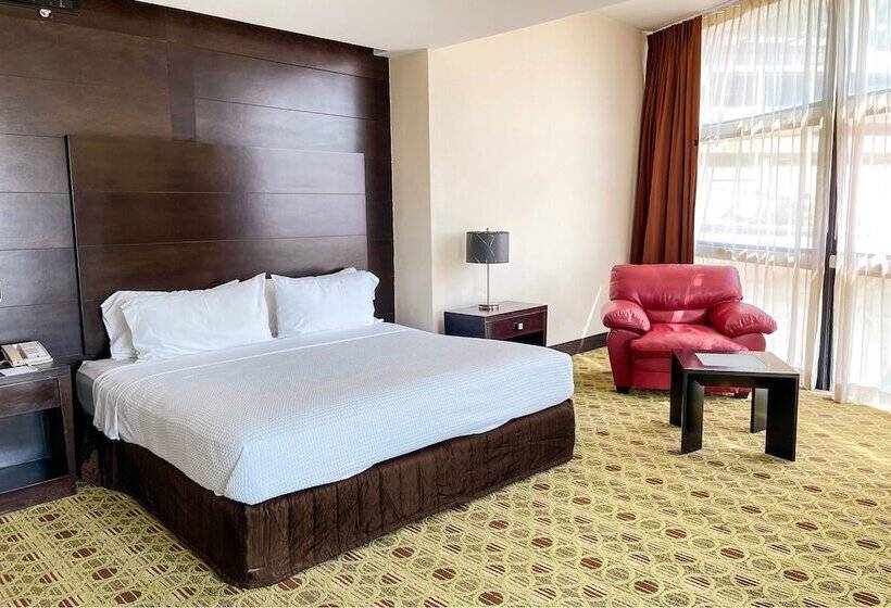 اتاق استاندارد با تخت بزرگ, Hilton Queretaro