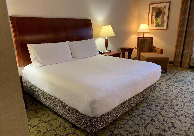 キングサイズベッドのスタンダードルーム, Hilton Garden Inn Colorado Springs Airport