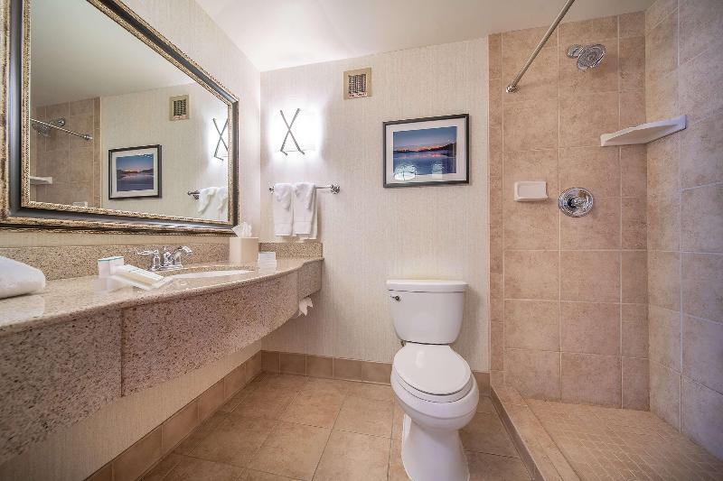 Стандартный Номер Кровать Кинг, Hilton Garden Inn Kalispell