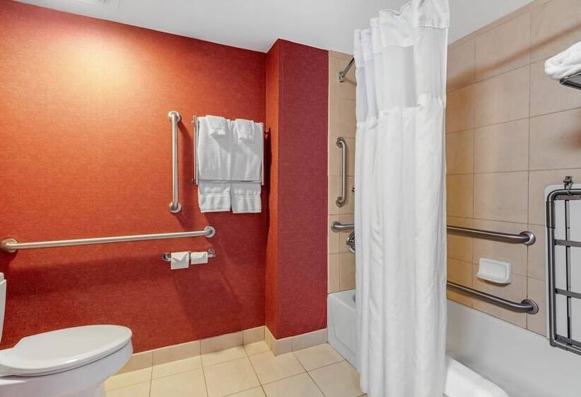 Номер Стандарт Адаптированный для Инвалидов, Hilton Garden Inn Tupelo