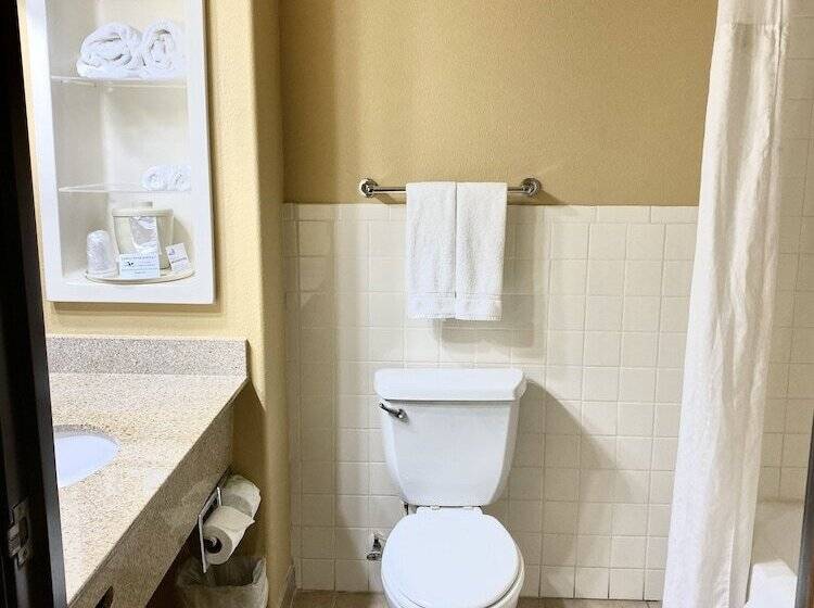 Standard Szoba, Holiday Inn Express Hotel And Suites Alice, An Ihg