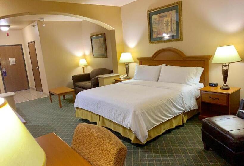 Suite King Size Bed, Holiday Inn Express Hotel And Suites Alice, An Ihg