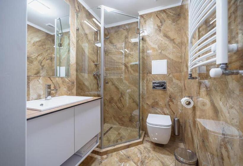 اتاق سوپریور با تخت بزرگ, Rudison Hotel & Restaurant