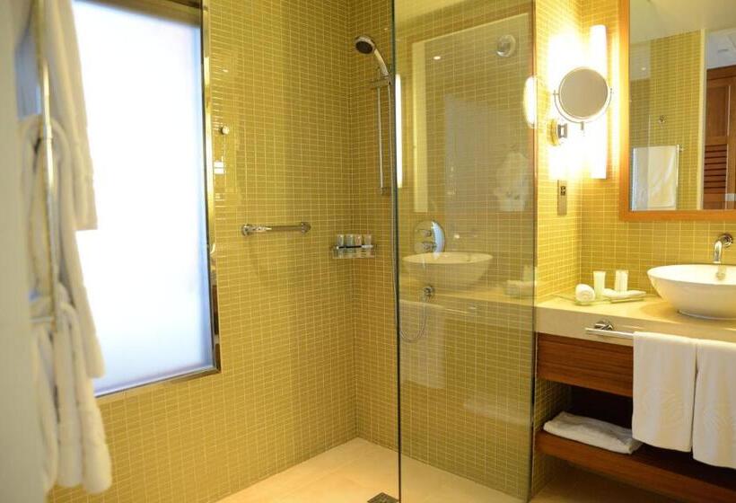 Клубный номер с видом, Yas Island Rotana Abu Dhabi