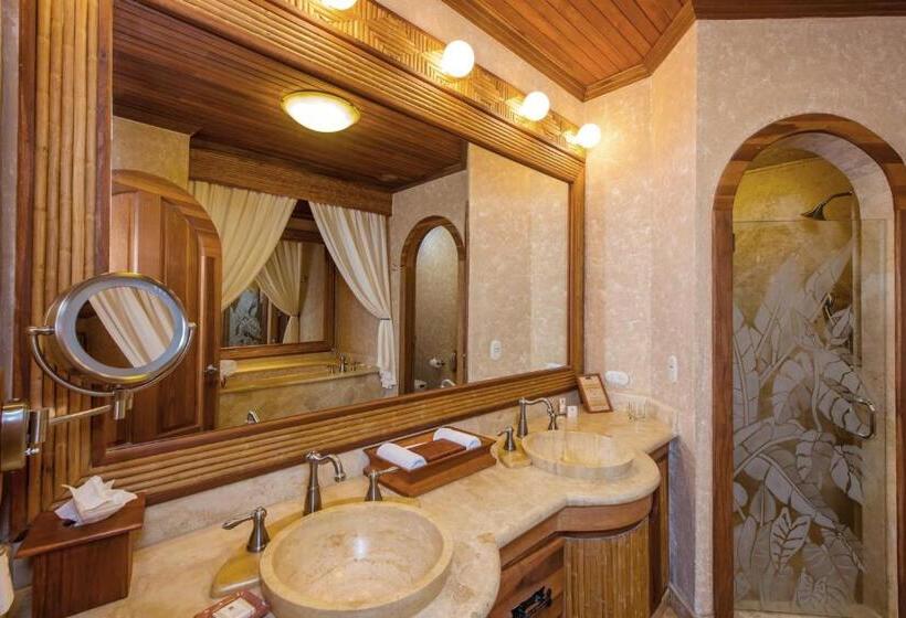 اتاق استاندارد با چشم‌انداز, The Springs Resort & Spa At Arenal