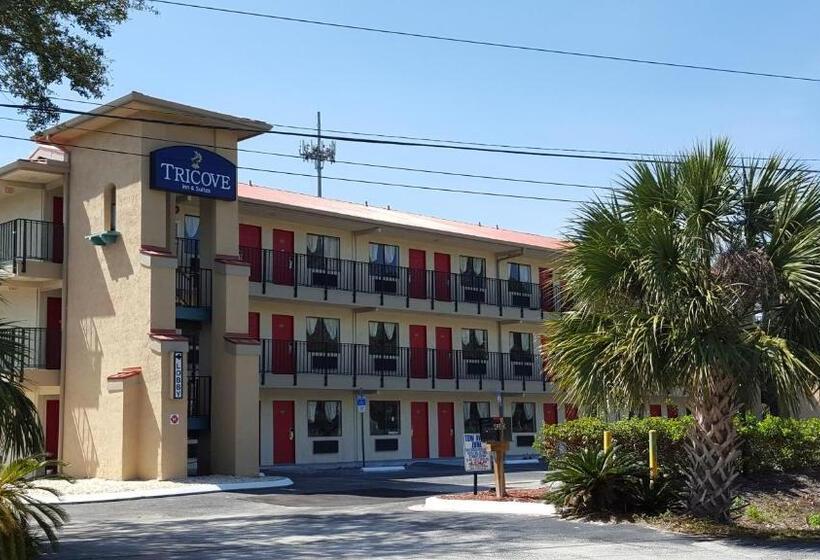 适合残疾人士使用的带超级大床的标准间, Tricove Inn & Suites