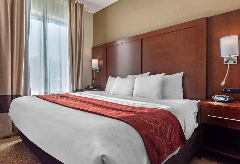 Люкс Адаптированный для Инвалидов, Comfort Suites Cincinnati Airport