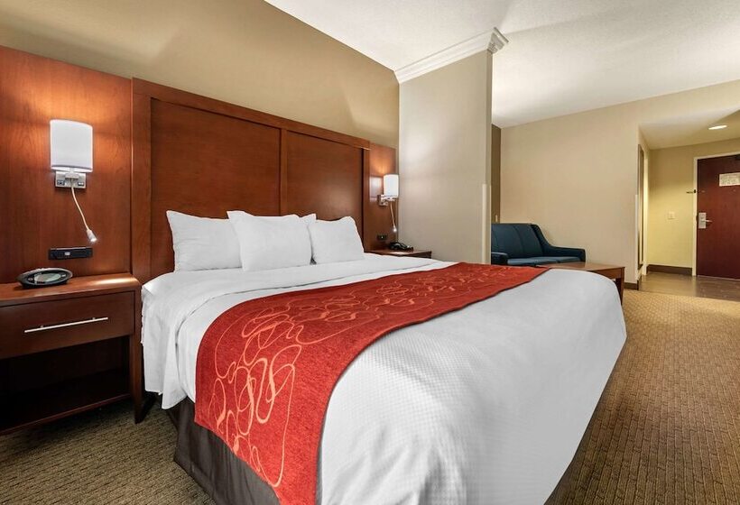 Люкс Адаптированный для Инвалидов, Comfort Suites Cincinnati Airport