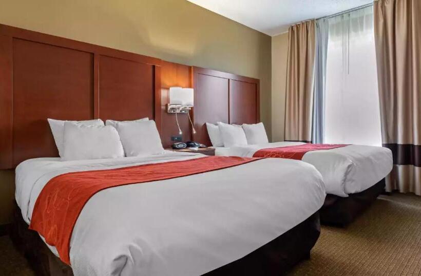 Люкс, Comfort Suites Cincinnati Airport