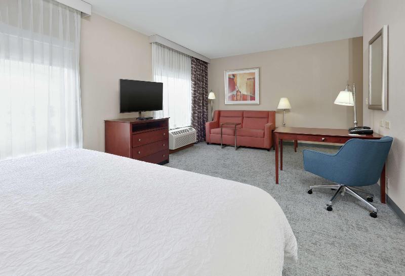 استودیو استاندارد با تخت کینگ, Hampton Inn & Suites Abilene I 20