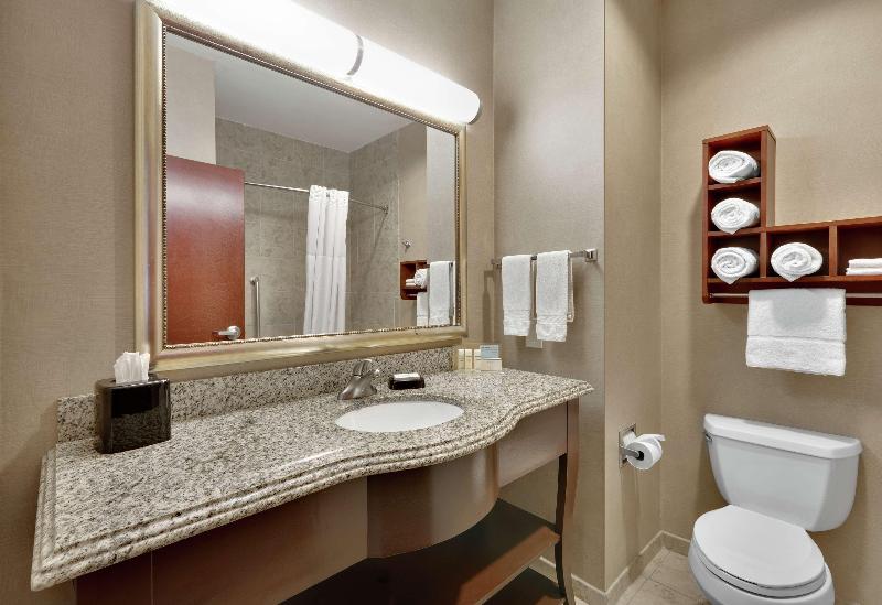 استودیو استاندارد با تخت کینگ, Hampton Inn & Suites Abilene I 20