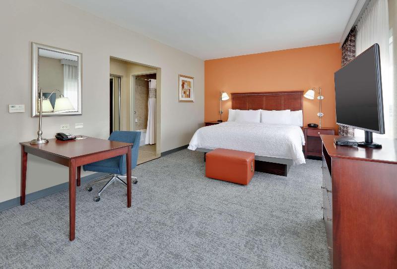 استودیو استاندارد با تخت کینگ, Hampton Inn & Suites Abilene I 20