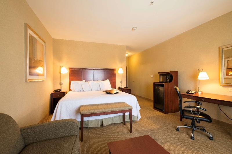 استودیو استاندارد با تخت کینگ, Hampton Inn & Suites Abilene I 20