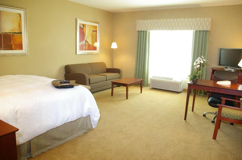 استودیو استاندارد با تخت کینگ, Hampton Inn & Suites Abilene I 20