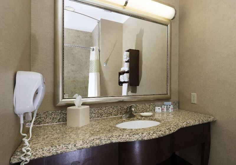 استودیو استاندارد با تخت کینگ, Hampton Inn & Suites Abilene I 20
