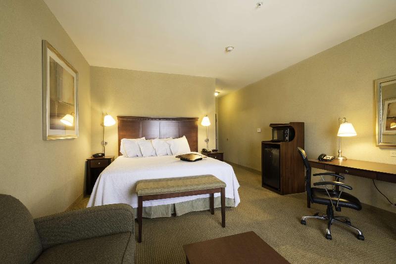 استودیو استاندارد با تخت کینگ, Hampton Inn & Suites Abilene I 20