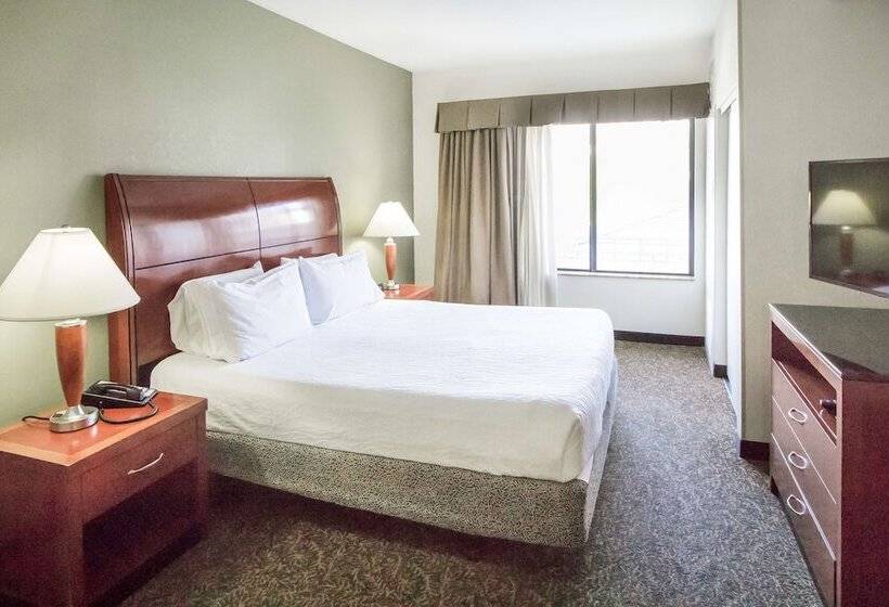 스위트, Hilton Garden Inn Phoenix/Avondale