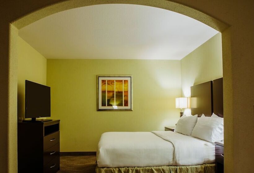 Люкс Адаптированный для Инвалидов, Holiday Inn Express Hotel & Suites Waller, An Ihg