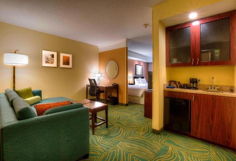 标准工作室, Springhill Suites By Marriott   Tampa Brandon