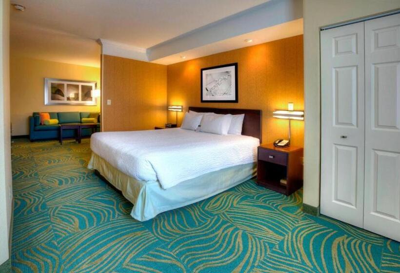 带大床的标准工作室, Springhill Suites By Marriott   Tampa Brandon