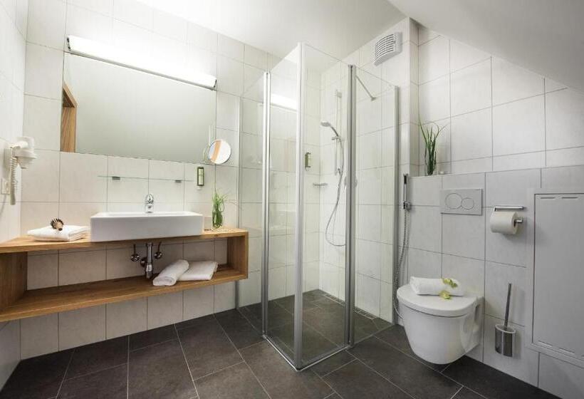 2-Bedroom Classic Apartment, Alpenparks Hotel & Apartment Central Zell Am See