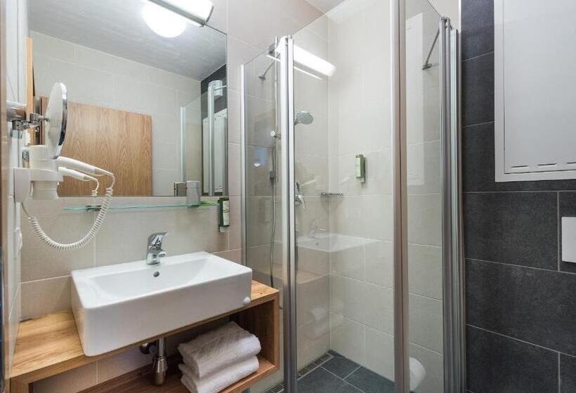 Апартаменты 4 Спальни, Alpenparks Hotel & Apartment Central Zell Am See