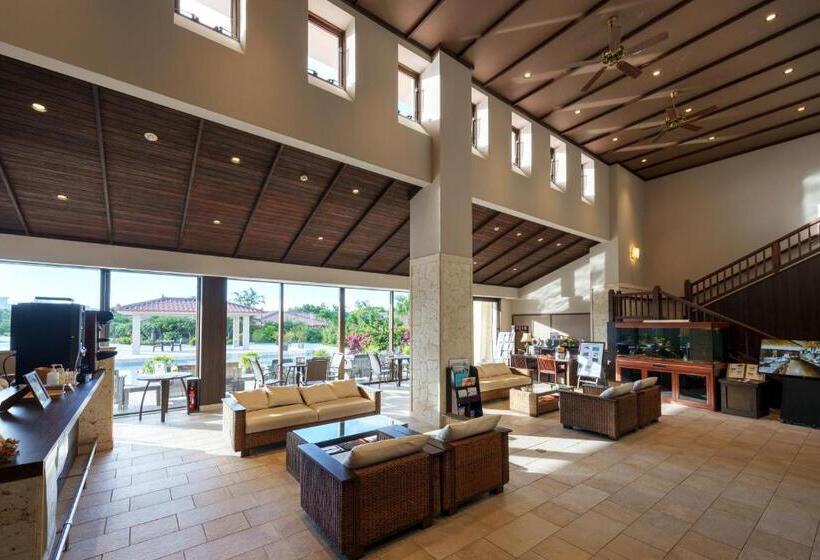 ویلای سوپریور 1 خوابه, Grandvrioresort Ishigakijima Ocean S Wing & Villa Garden