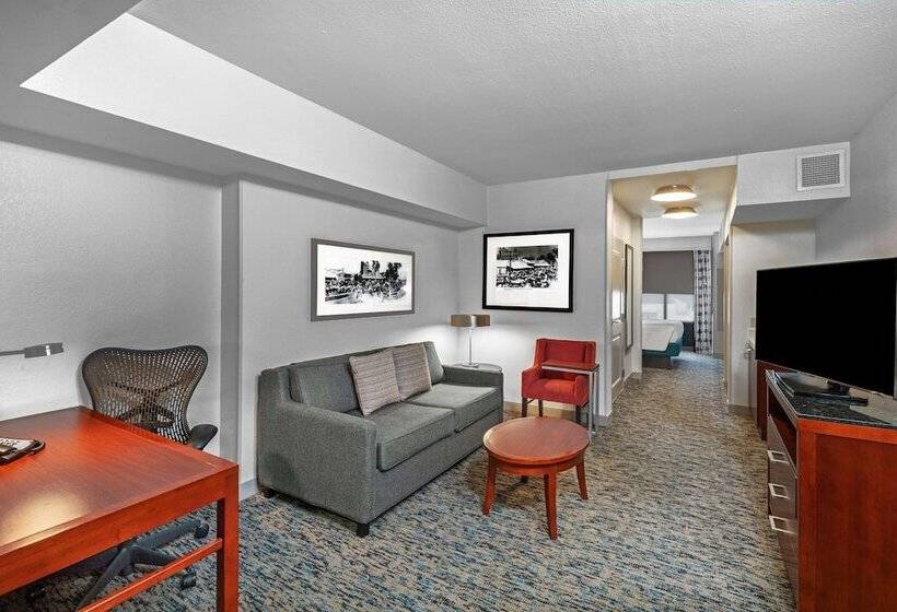 Полулюкс, Hilton Garden Inn Houston/sugar Land