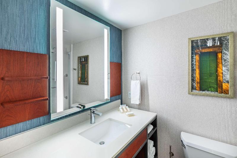 Номер Премиум, Hilton Garden Inn Houston/sugar Land