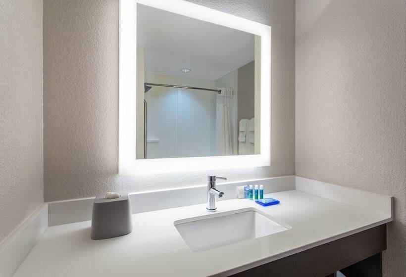 장애인을 위한 스위트, Holiday Inn Express Silver Springs   Ocala, An Ihg