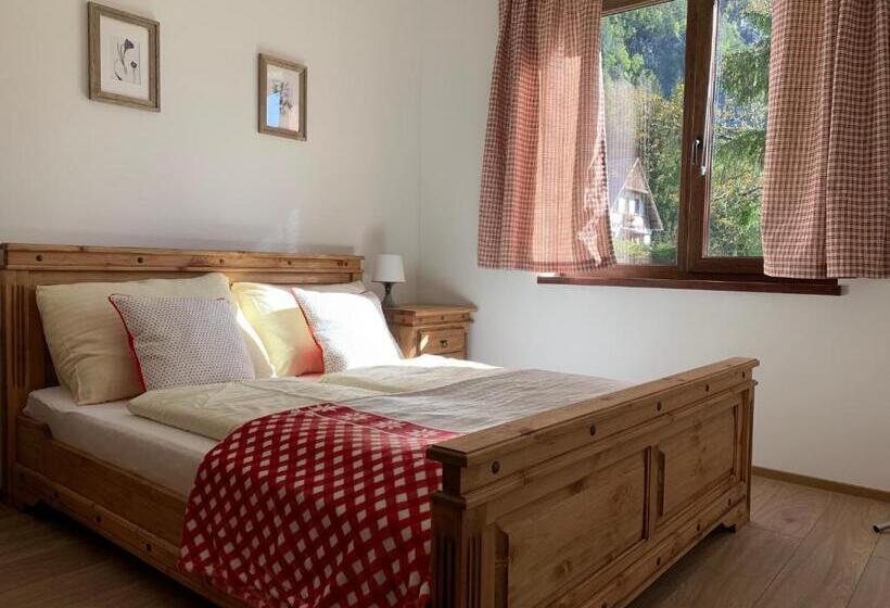 Апартаменты 1 Спальня с Террасой, Pension & Apartments Waldkrieber