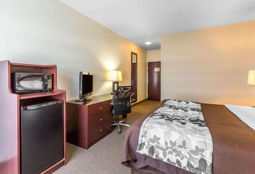 キングサイズベッドのスタンダードルーム, Sleep Inn & Suites Bush Intercontinental  Iah East