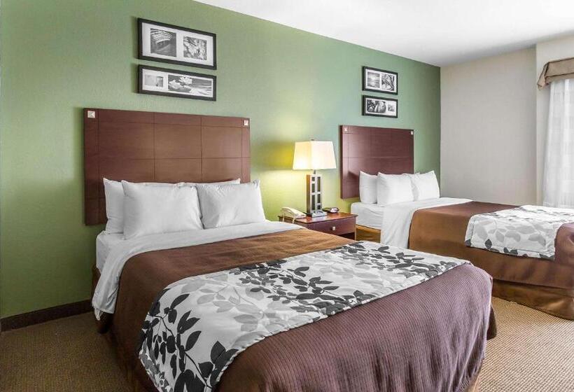 スタンダードルーム, Sleep Inn & Suites Bush Intercontinental  Iah East
