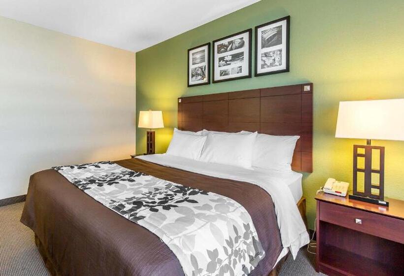 キングサイズベッドのスイートルーム, Sleep Inn & Suites Bush Intercontinental  Iah East
