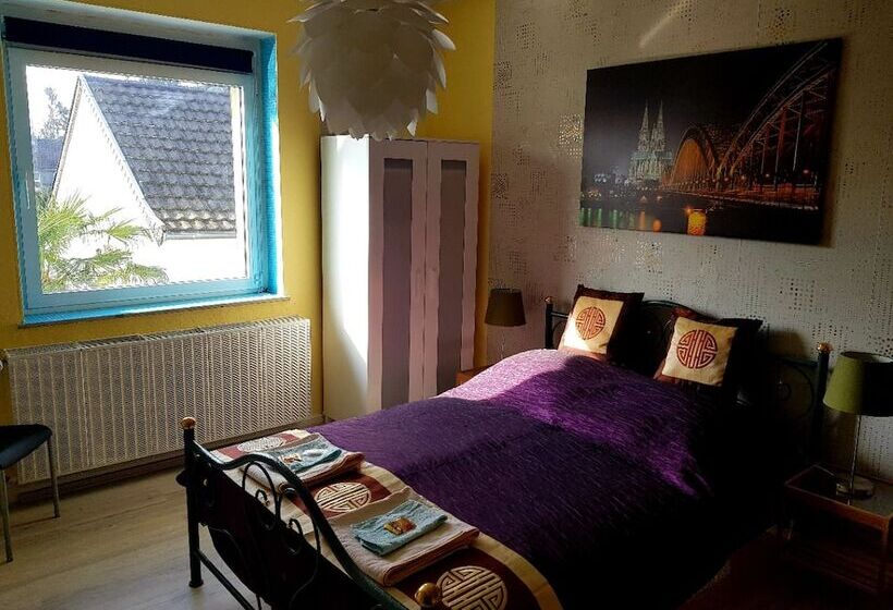Quarto Economy, Stayincologne