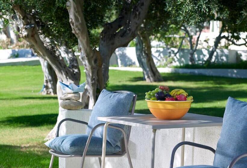 اتاق سه نفره دلوکس با چشم‌انداز باغ, Coriva Beach Hotel & Bungalows