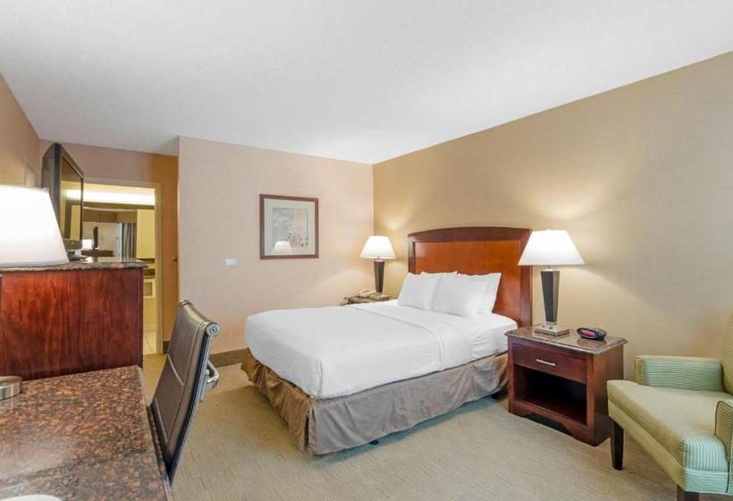 Номер Стандарт Кровать Квин Адаптированный для Инвалидов, Best Western Lexington Inn