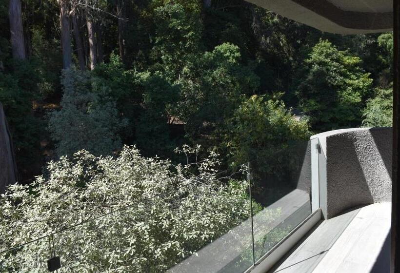 سوییت جونیور لوکس, Bosque De Reñaca