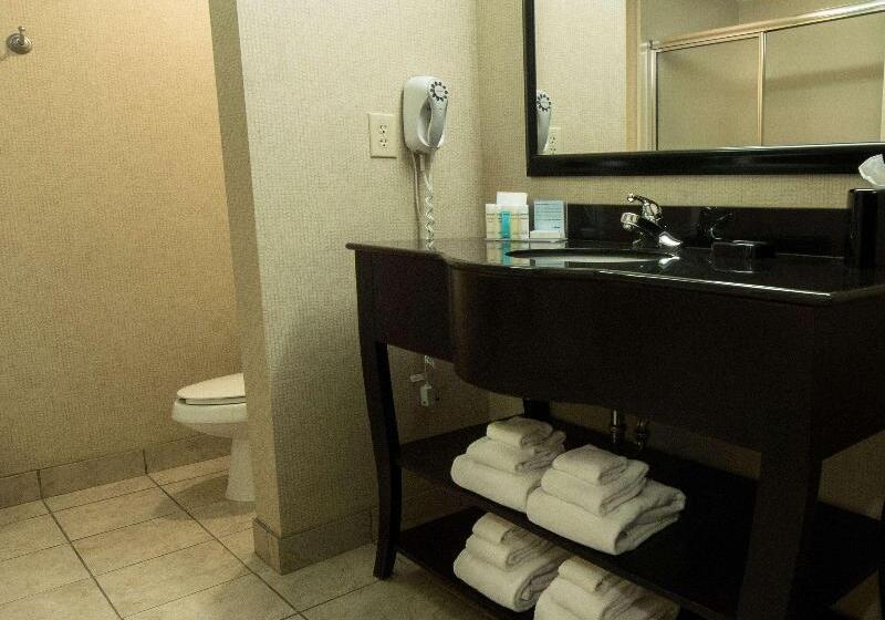 اتاق لوکس با تخت بزرگ, Hampton Inn Spring Lake Fayetteville
