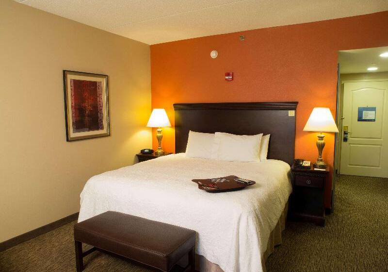 스탠다드 룸 킹사이즈 침대, Hampton Inn Spring Lake Fayetteville