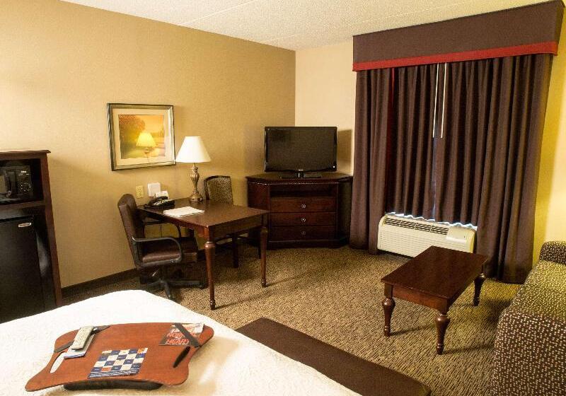 اتاق لوکس با تخت بزرگ, Hampton Inn Spring Lake Fayetteville