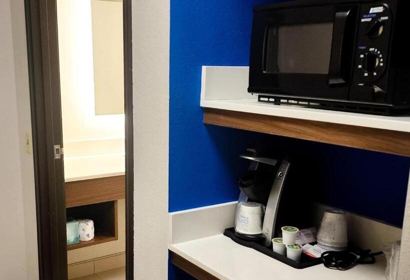 Номер Executive, Holiday Inn Express Hotel & Suites Chicago South Lansing, An Ihg