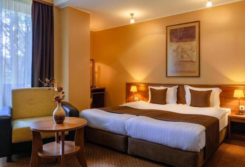 اتاق استاندارد با بالکن, Spa Hotel Calista