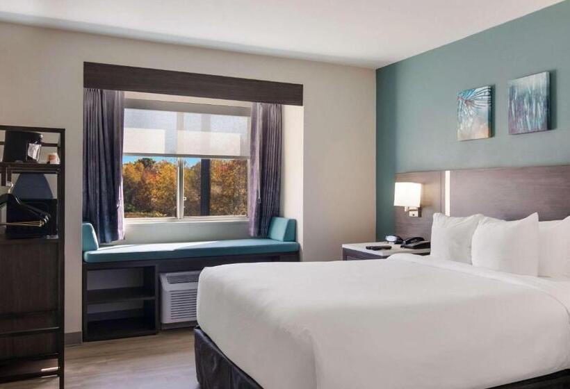 스위트 킹사이즈 침대, Mainstay Suites Clarion, Pa Near I80