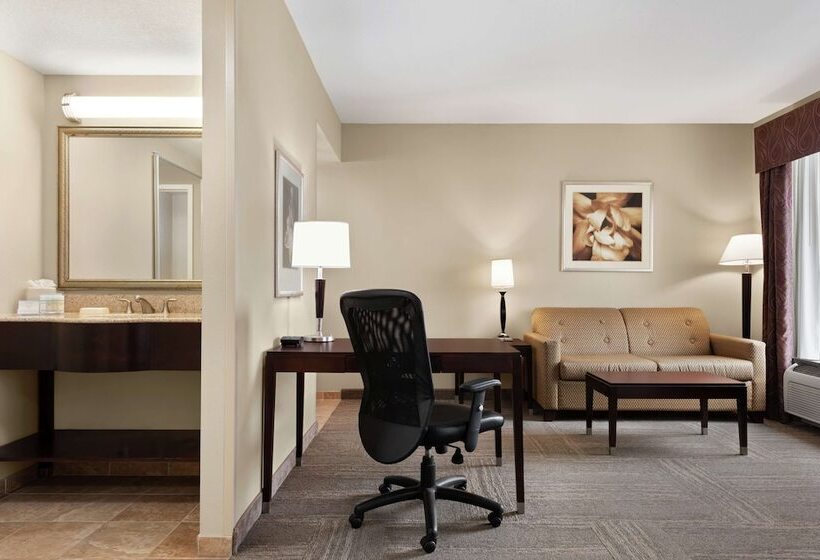 חדר סטודיו סטנדרד, Hampton Inn & Suites Brunswick