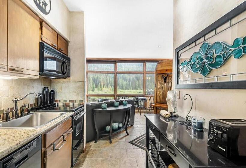 Апартаменты 1 Спальня, 2914 River Bank Lodge   Keystone
