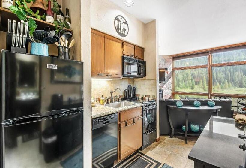 Апартаменты 1 Спальня, 2914 River Bank Lodge   Keystone