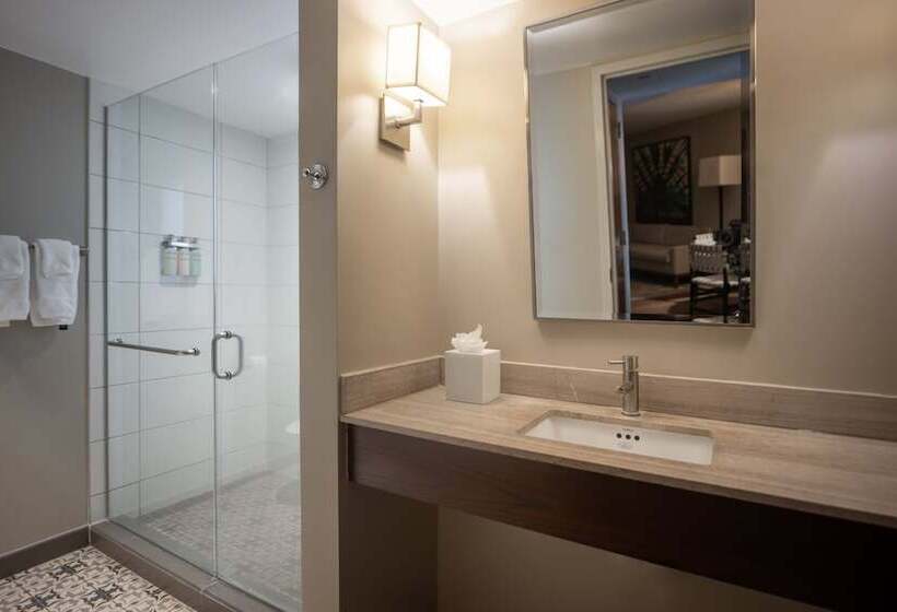 סוויטה עם נוף לעיר, Contessa   Suites On The Riverwalk